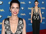 LOS ANGELES, CA - FEBRUARY 06:  Actress Amanda Peet attends the 68th Annual Directors Guild Of America Awards at the Hyatt Regency Century Plaza on February 6, 2016 in Los Angeles, California.  (Photo by Frederick M. Brown/Getty Images)