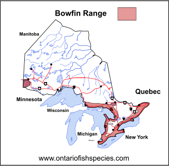 Bowfin range in Ontario Canada, Encompasses French River, Ontario Fish Species Map