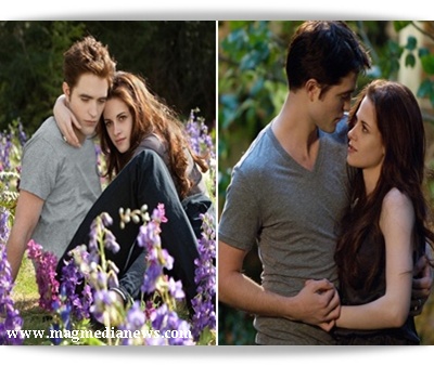 Review of The Twilight Saga Breaking Dawn Part 2