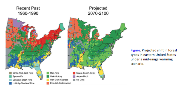 Projected shift in forest types in eastern United States under a mid-range warming scenario.