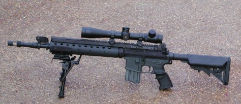 Your DMR doesn't have to be a Mk12. Almost any rifle can be applied to the designated marksman concept provided the shooter has the training to make use of it. 