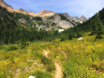 Spider Gap from Spider Meadow