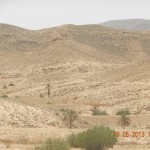 DSCN4292 150x150 De la turisti adunate: In Sahara trebuie sa ajungi cel putin o data in viata