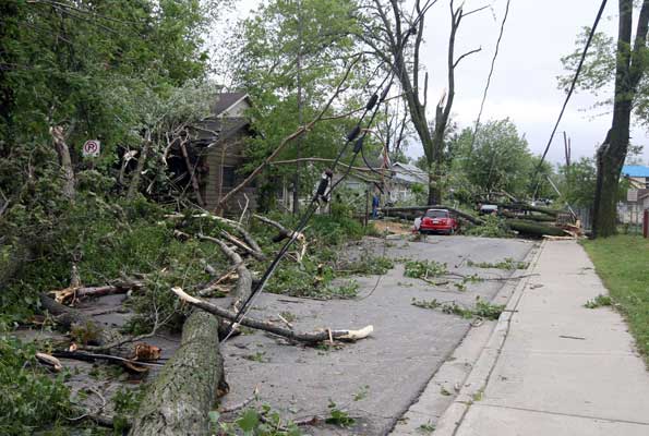 A state of emergency has been declared in Leamington as of 6:25 a.m. Sunday after a suspected tornado swept through the town uprooting decades-old trees, downing power lines and destroying homes.