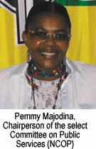 Pemmy Majodina, Chairperson of the Select Commitee on Public Services (NCOP)