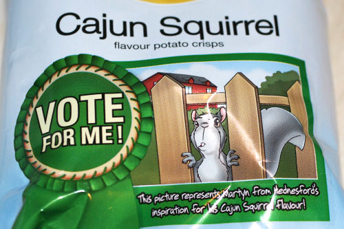 Cajun Squirrel Flavored Potato Chips