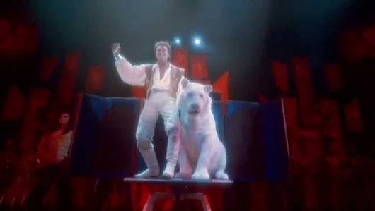 From magic to pain, a Siegfried & Roy biopic is in the works