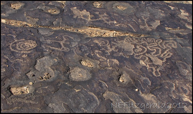 IMG_1056 PetroglyphsOnFlatSandstone