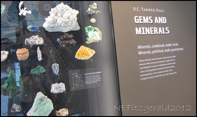 IMG_1409Gems AndMinerals