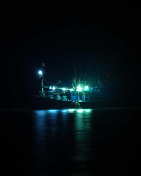 Những tàu đánh cá ngoài khơi đang nghỉ ngơi gần bờ biển Vũng Tàu lúc đêm