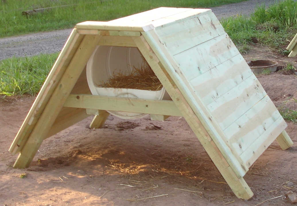 how to build a sled dog house 55 gallon barrel diy