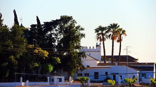 <Torremarisma> Trajano (Sevilla)