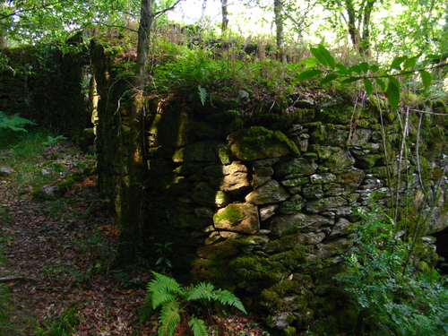 Ruinas cercanas al rio Ulla