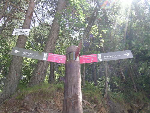 Senyalització Ruta de la Transhumància - Camí de Serrat - Ribes Altes (Ripollès)