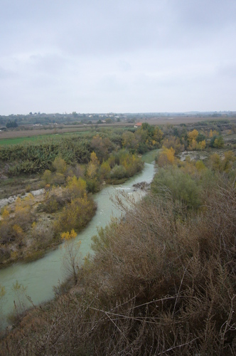 Río Alcanadre a su paso por Sariñena