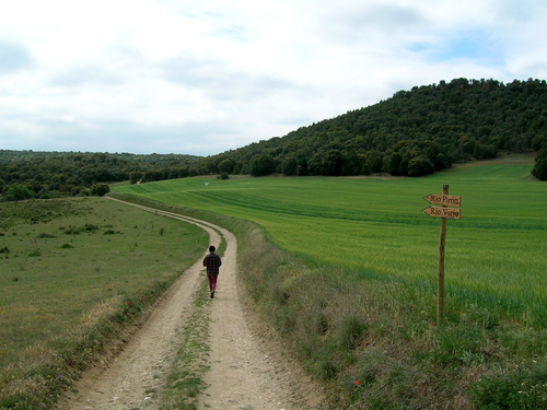 camino con letrero,  hacia ríos Pirón y Viejo.2005.