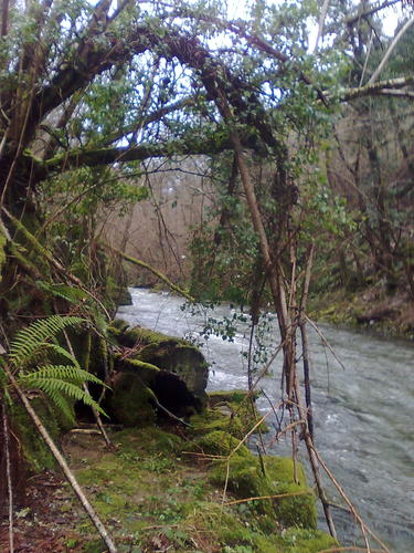 Pena Pico rio Argancinas,Marquesin