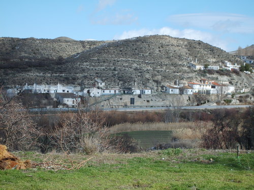 Cuevas de "La Ribera"