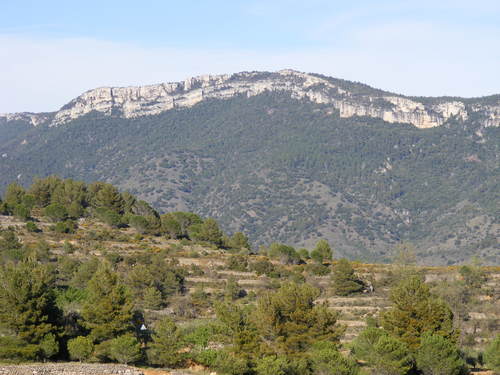 Montañas de Montsant, El Priorat, Tarragona.