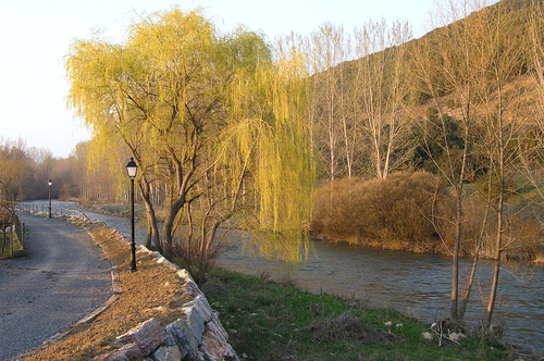 El camino en La Seca a la orilla del rio Bernesga
