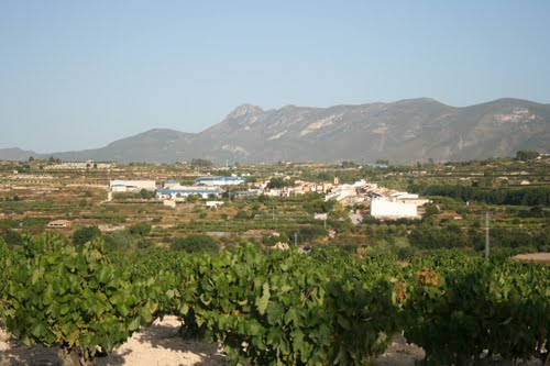 Bufali Panorama