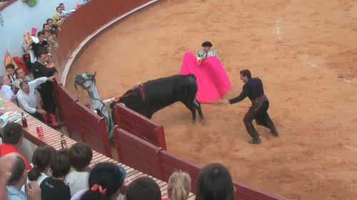 el toro coge al caballo
