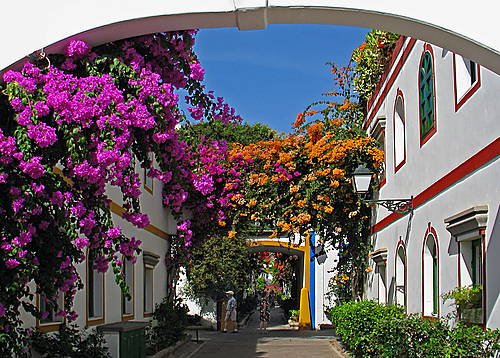 Street in Puerto de Mogan