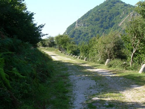 Camino Real (siglo XVIII)