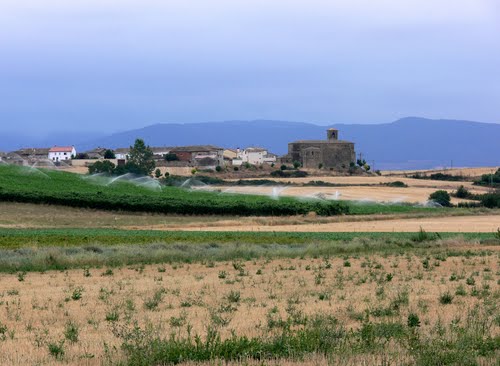 MADRID DE LOS TRILLOS (Aldea de Cidamón-La Rioja). 2009. 01. Vista de San Torcuato.
