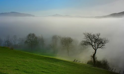 Niebla en los campos de Urrotz