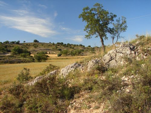 landscape around Torremocha