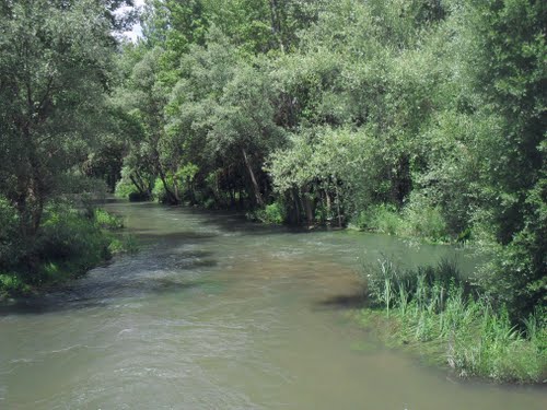Río Arlanzón
