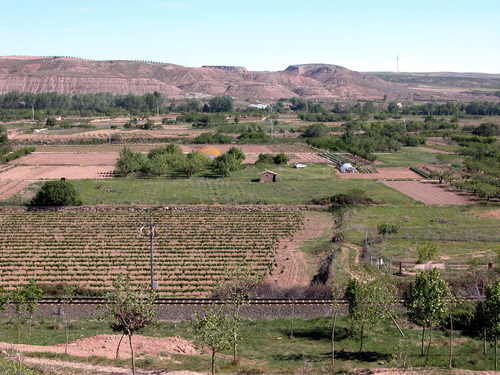 ALCANADRE (La Rioja). 2005. 05. Vista de sus huertas.