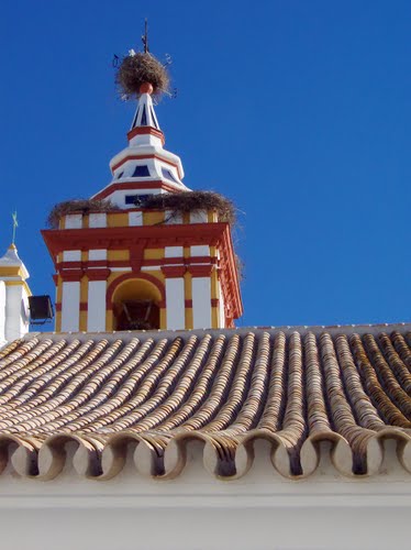 Tejado y campanario de la iglesia - Roof and steeple of the church - Castilblanco de los Arroyos, Sevilla (Espaa - Spain)   Francisco dos Santos