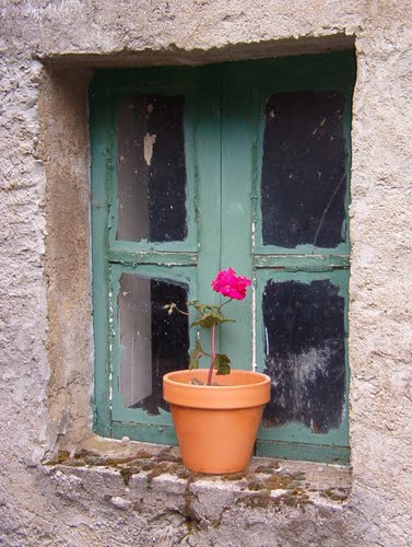 Pintinidoira- Os Ancares galegos (Lugo- GALICIA) Fiestra/ Window).