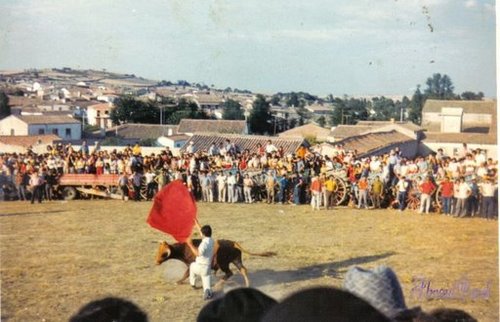 Plaza de toros 1972