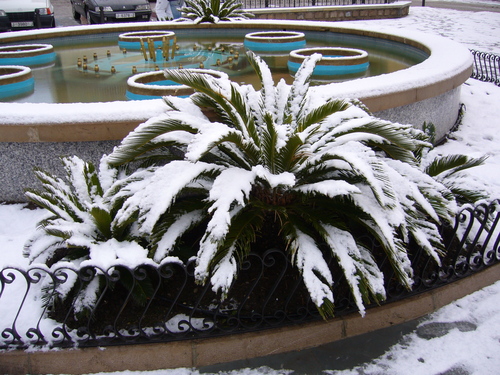 Nieve en Torredonjimeno