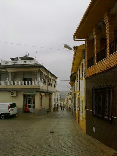 Rincón de Mures, marzo de 2011