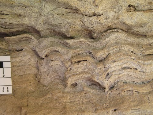 Estromatolitos (Rambla de Moras, Sorbas, Almera)
