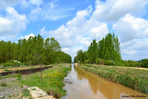 Canal de Castilla  -  Ventosa de Pisuerga