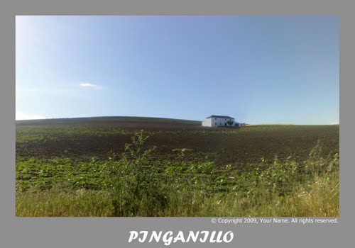 Panoramica del Cortijo de Pinganillo (Porcuna, Jaen)