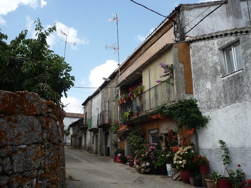 Aldeacipreste (La Sierra) - calle Mediodía y sus macetas con flores [ago 11]
