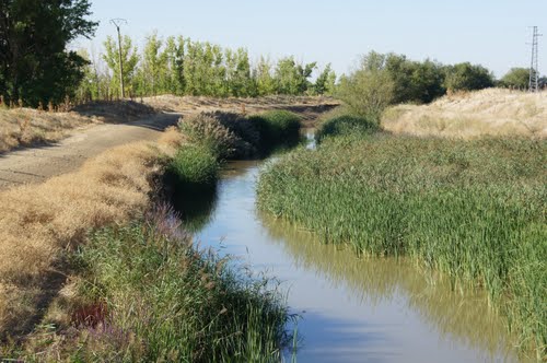 Río Vaderaduey a su paso por Pobladura.