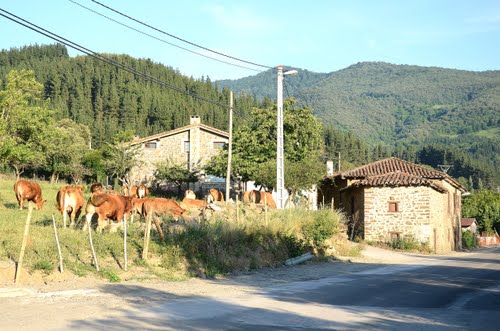 Cabezón de Liébana, Cantabria, España