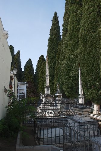 Tumbas y cipreses en el cementerio de Priego(f)