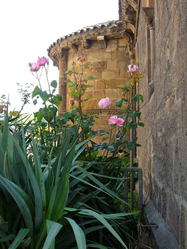 Flor, Jardin Iglesia,  Ujo, Asturias