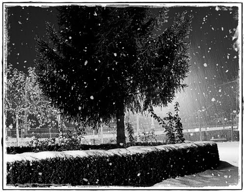 Nieve en la plaza
