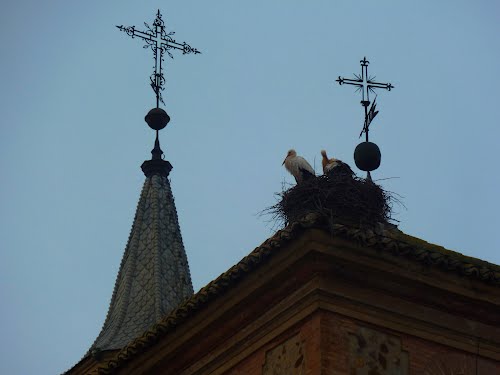 Storks in the top of the towers.....by Elena Belloso.