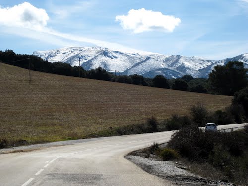 Montes de Málaga nevados.Cerca de Zafarraya, marzo de 2012