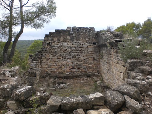 Runes al turó entre Bacardit de Llomars i El Casalot, Camps (abril 2012)